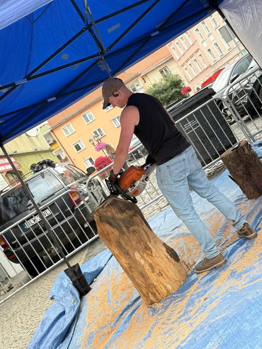 Pokazy rzeźbienia w drewnie pilarką spalinową – atrakcja na festyny, imprezy, szkoły