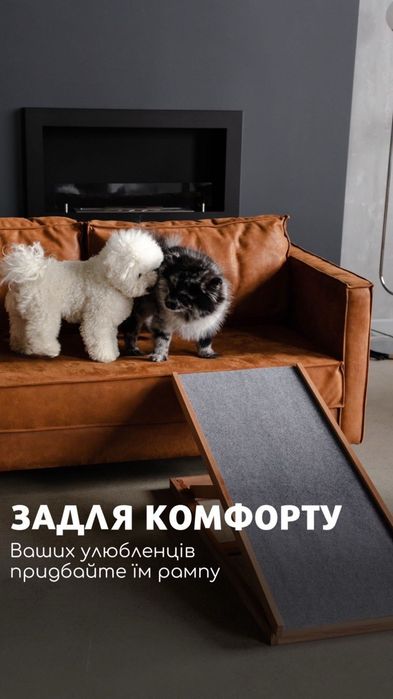 Пандус для собак