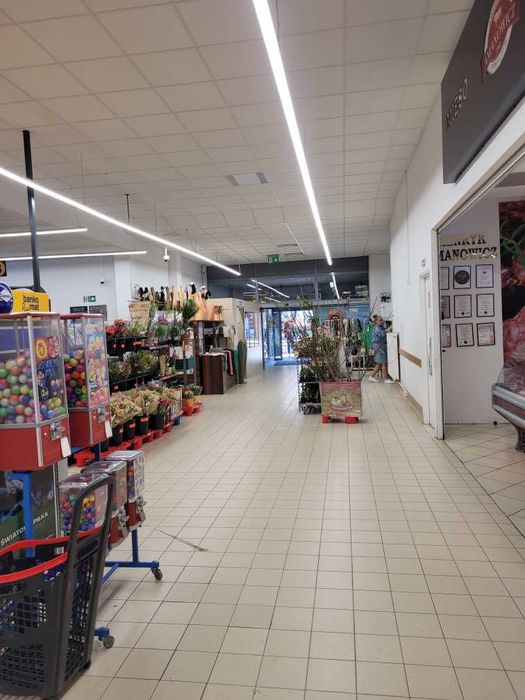 lokal handlowy/ usługowy przy Biedronce