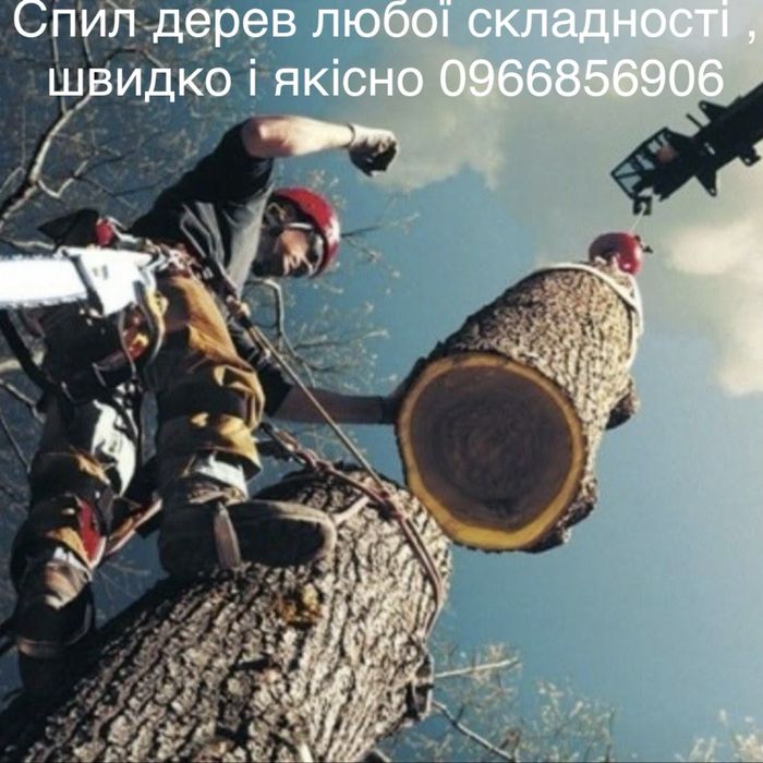 Спил дерев , Зрізання дерев.