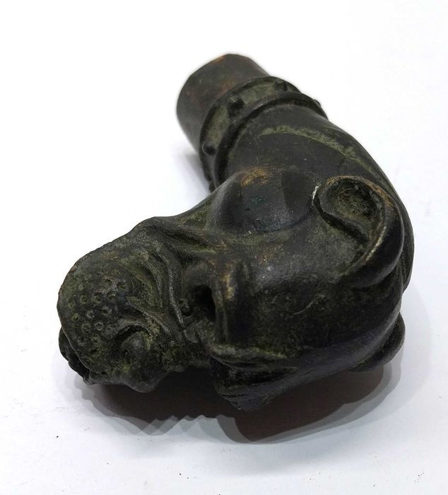 Rara maçaneta / cabo de bengala antigo cabeça de cão Bulldog