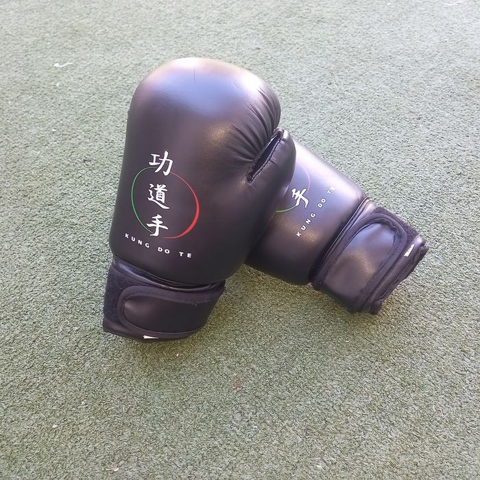 Luvas de combate Kung Do Te