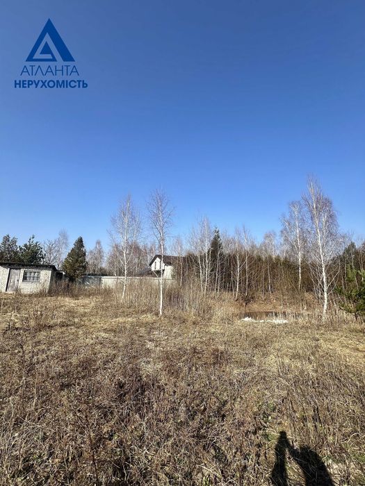 Пропонуємо до продажу 2 суміжні земельні ділянки  в селі Озерце.