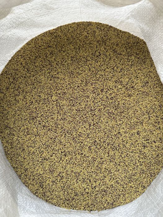 Продам насіння люцерни, конюшини