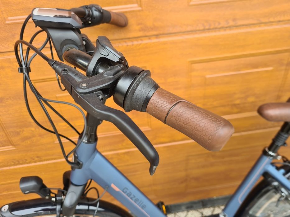 Rowery Elektryczne Gazelle Orange C7 +Bosch Active Line