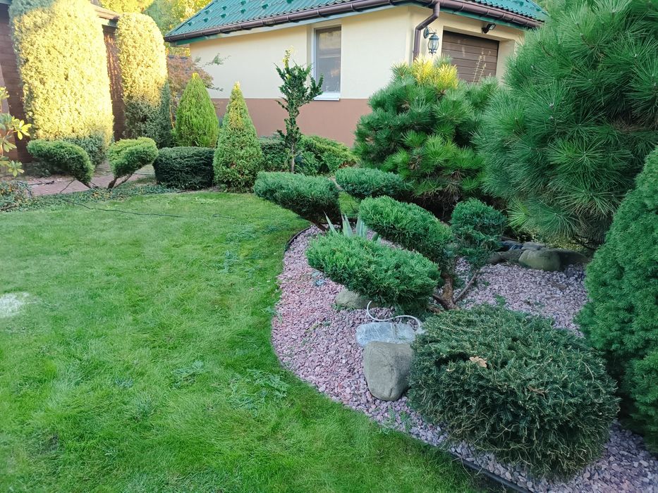 Газон, трава, штучна трава, стрижка, ландшафт, топіар, бонсай, нівакі,