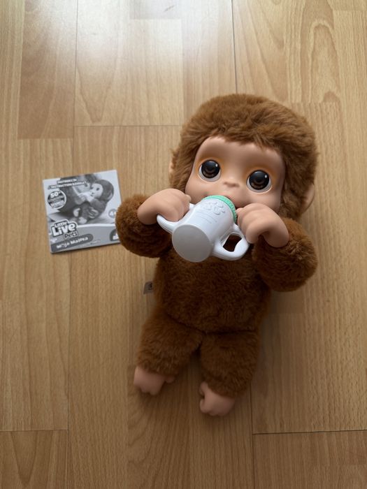 Little love my pets - my baby monkey mango