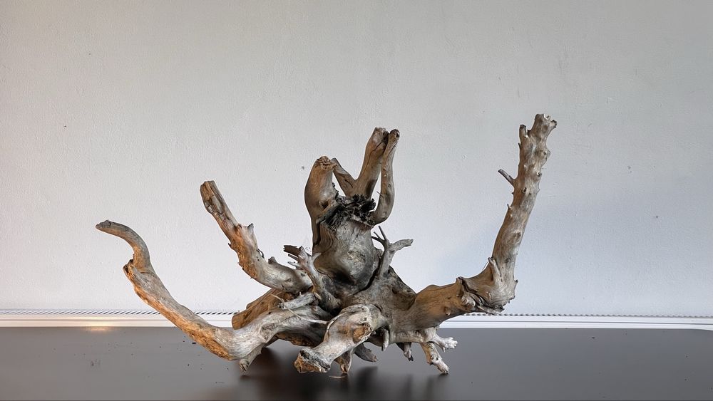 Korzeń do terarium, akwarium