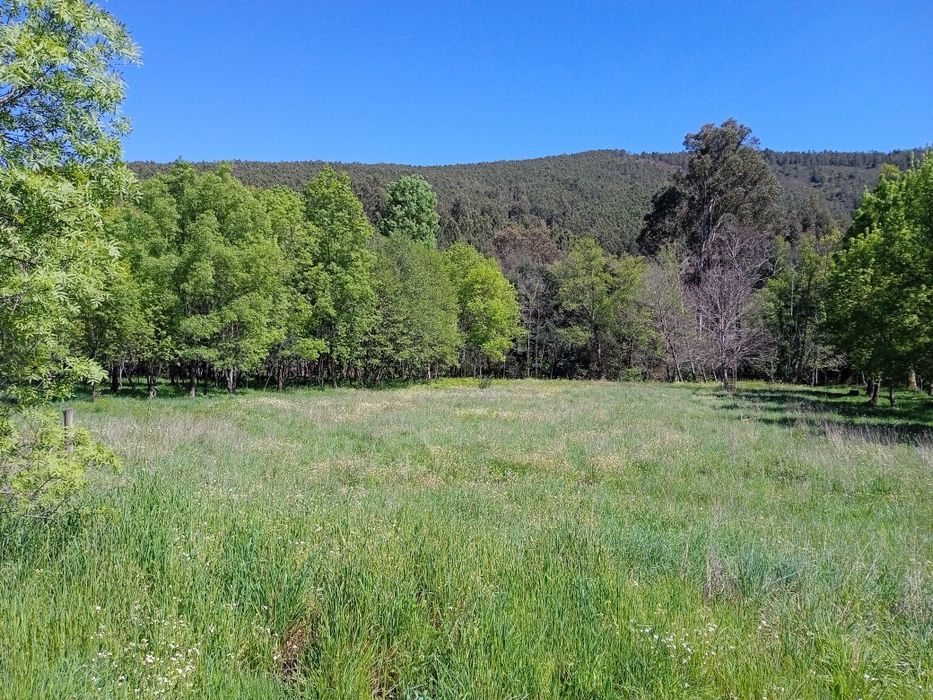 Prédio rústico Paul Covilhã junto à ribeira