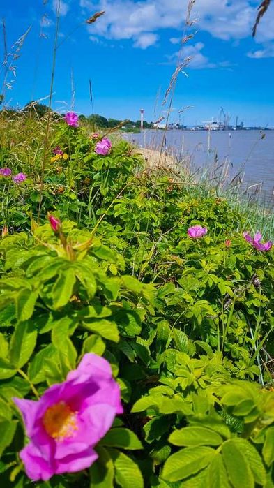 Квартира в Германии.