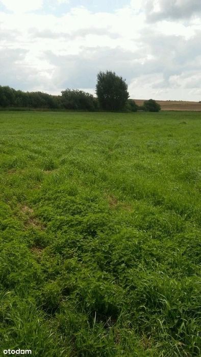 Działki z WZ - Gryfice obrzeże