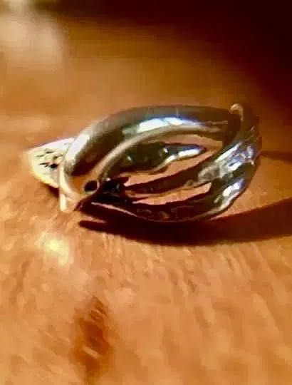 2 ANÉIS de PRATA - diâmetro interno 20 mm - contraste Águia 835