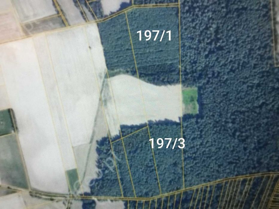 Sprzedam las 1,8 ha Targonie.
