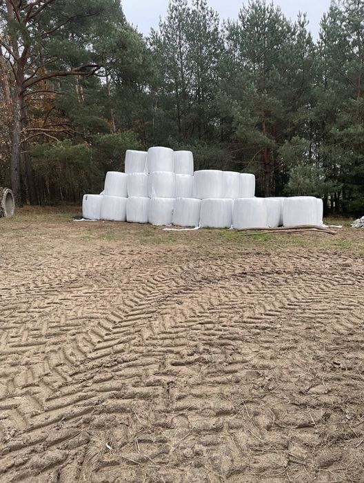 Bele na sprzedaż