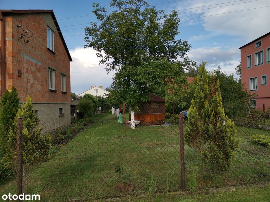 Zdjęcie 6