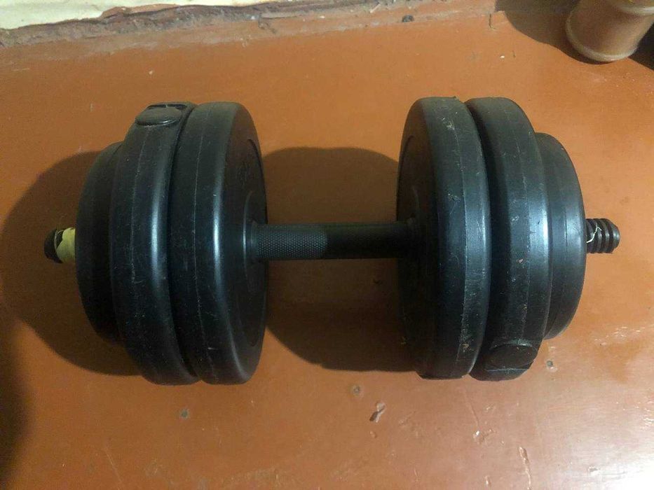 Терміновий продаж гантелей вагою 12.5