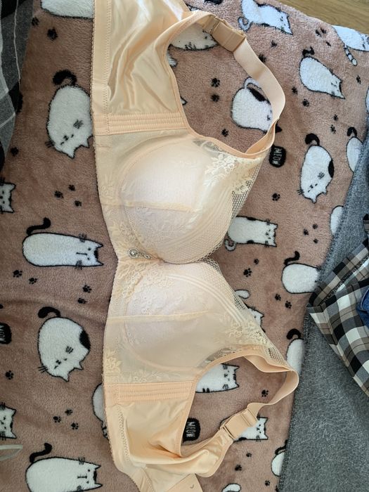 бюстгальтер