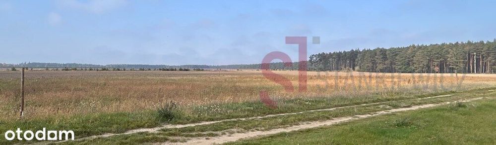 Działka Budowlana W Tylewicach | Projekt Domu I Pozwolenie Na Budowę - Widok 2