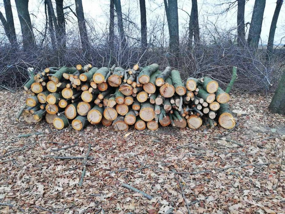 Замовте дрова від виробника - зекономте на зимі!