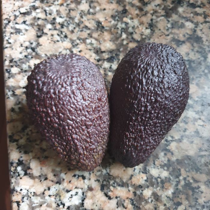 4 Árvore abacates