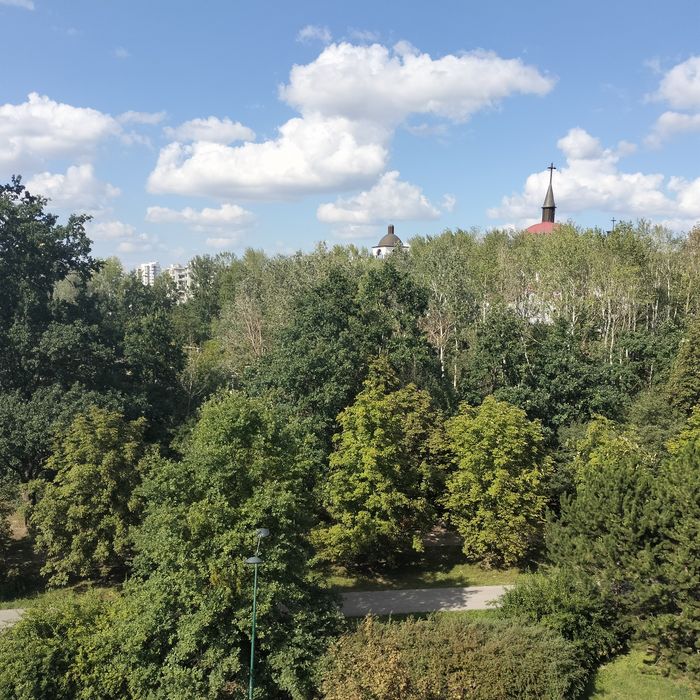 Zdjęcie 8