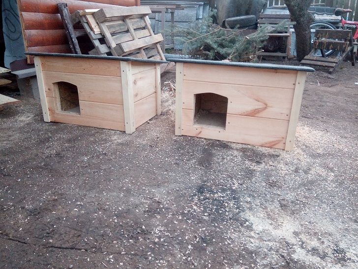 Buda dla kota lub małego psa wysylka