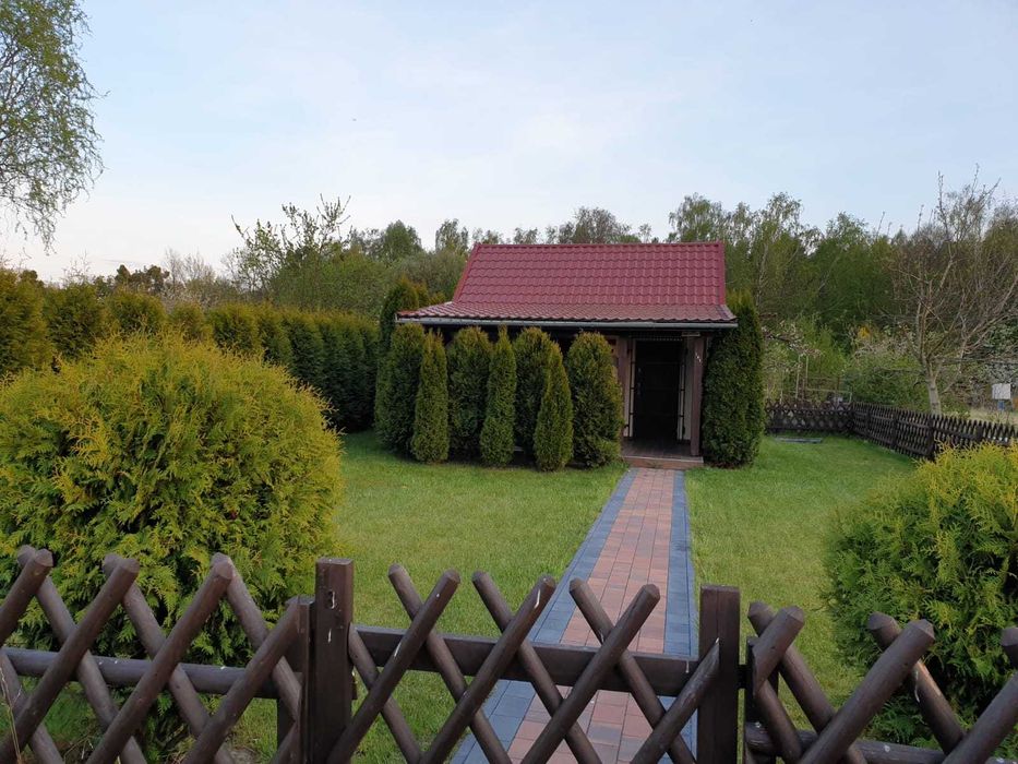 Piękny ogródek działkowy - Widok 2
