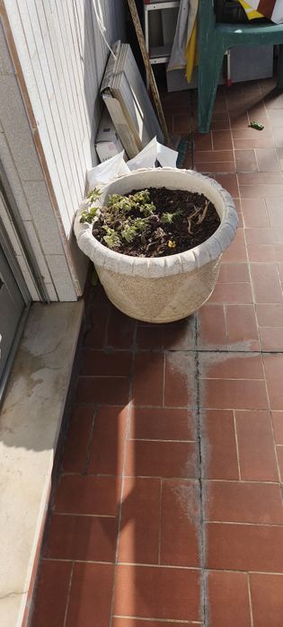 Vaso de exterior em Cerâmica