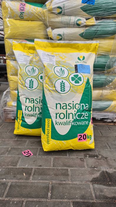 Owies Kwalifikowany Bingo