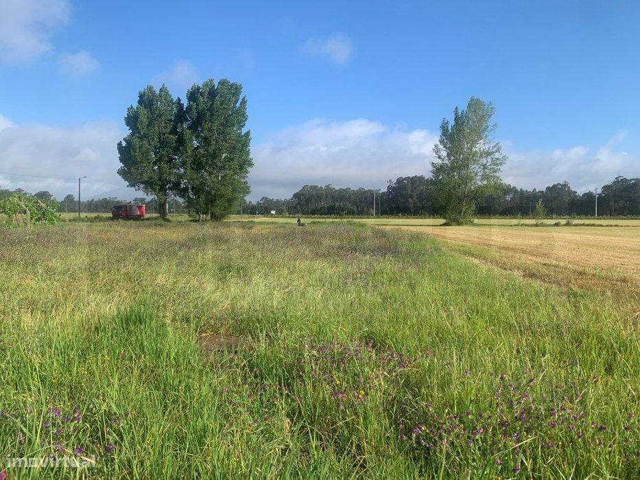 Terreno para construção em Estarreja