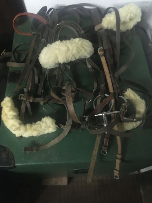 2 caixas de arreios, 1 arreio de Torres Novas e 2 arreios da ordem