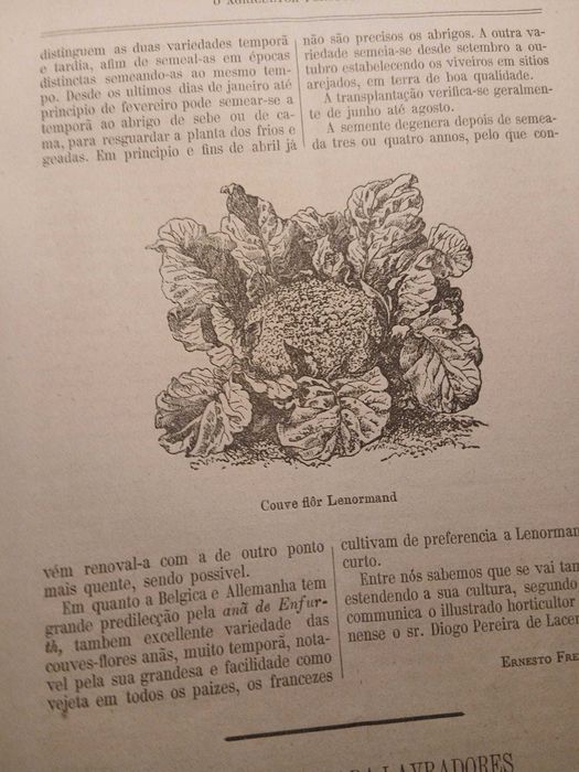 O Agricultor Portuguez, Volume 6 Nº2 1883