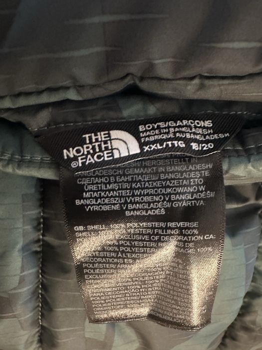 Kurtka zimowa The North face