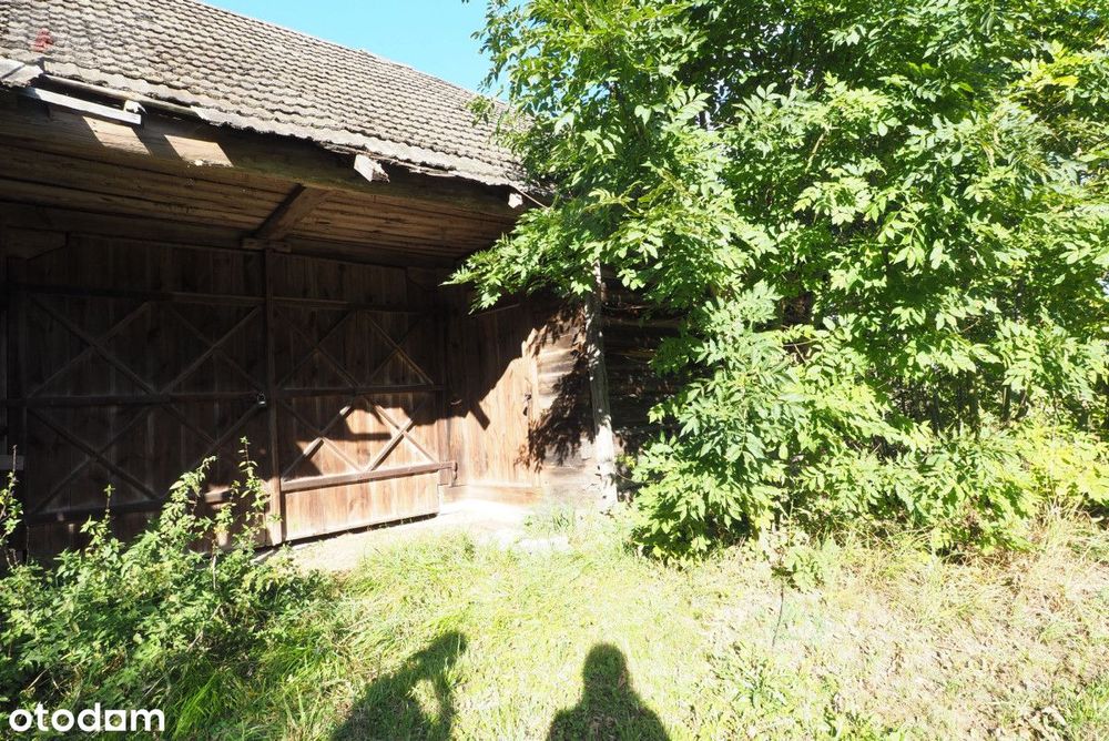 Wojszki - siedlisko na sprzedaż