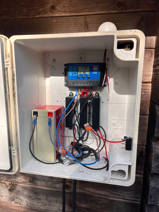 Arpas Vespa Asiática