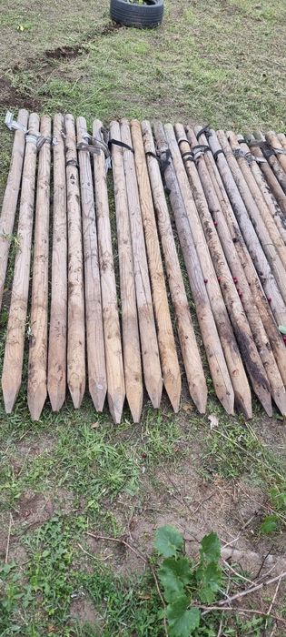 Kołki paliki 2,5m