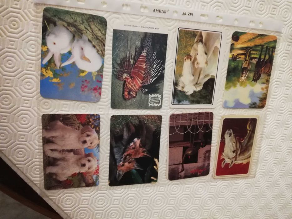 Coleção de calendários de animais