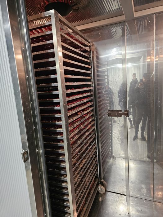 Сушильная камера, сушильна шафа