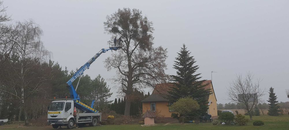 Podnośnik Koszowy Zwyżka, Minikoparka, Wycinka Drzew Przycinanie Koron
