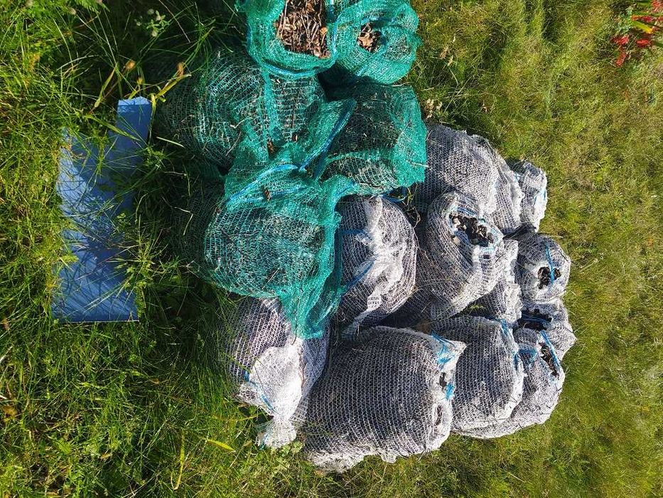 16 woreczkow zrebki z gałezi owocowych