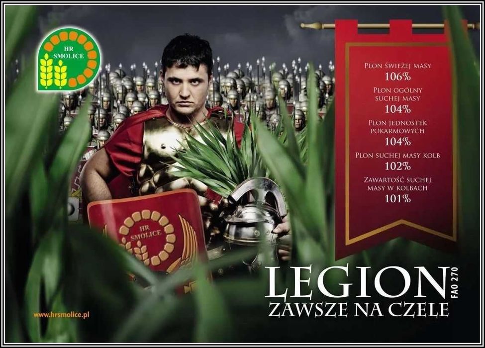 Kukurydza LEGION - Sprawdzona Wierna Odmiana Nasiona Kukurydzy Smolice