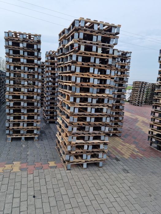 paleta palety 60x80 dhp dd 600x800  połówki  dusseldorf