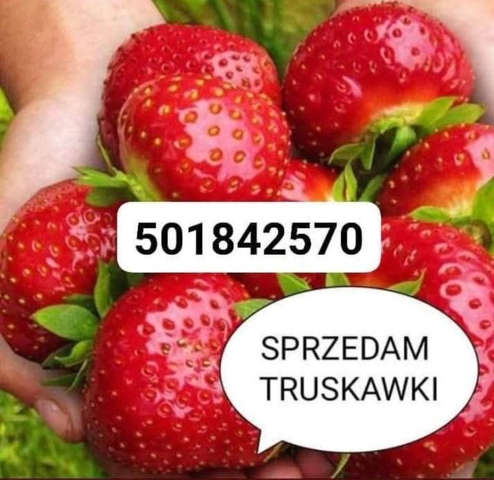 Truskawki truskawki