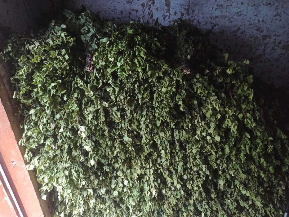 Віники для парілки , бані , дуб , береза , клен