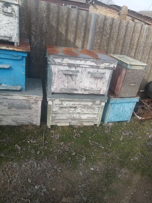 Вулики лежаки для бджіл