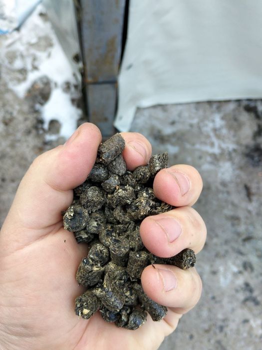 Пеллета подсолнух.