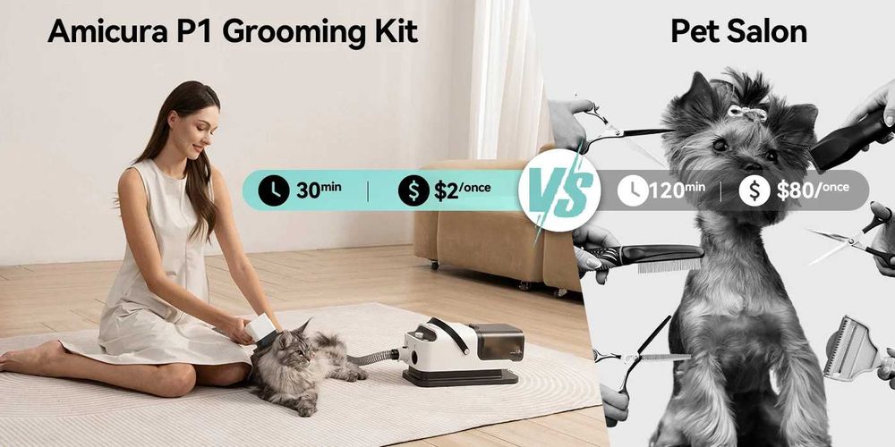 Odkurzacz, maszynka do strzyżenia i suszarka dla zwierząt Amicura P1