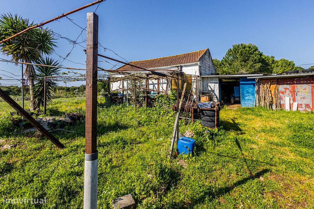 Apresento terreno agrícola com apoio habitacional T2 no Cartaxo