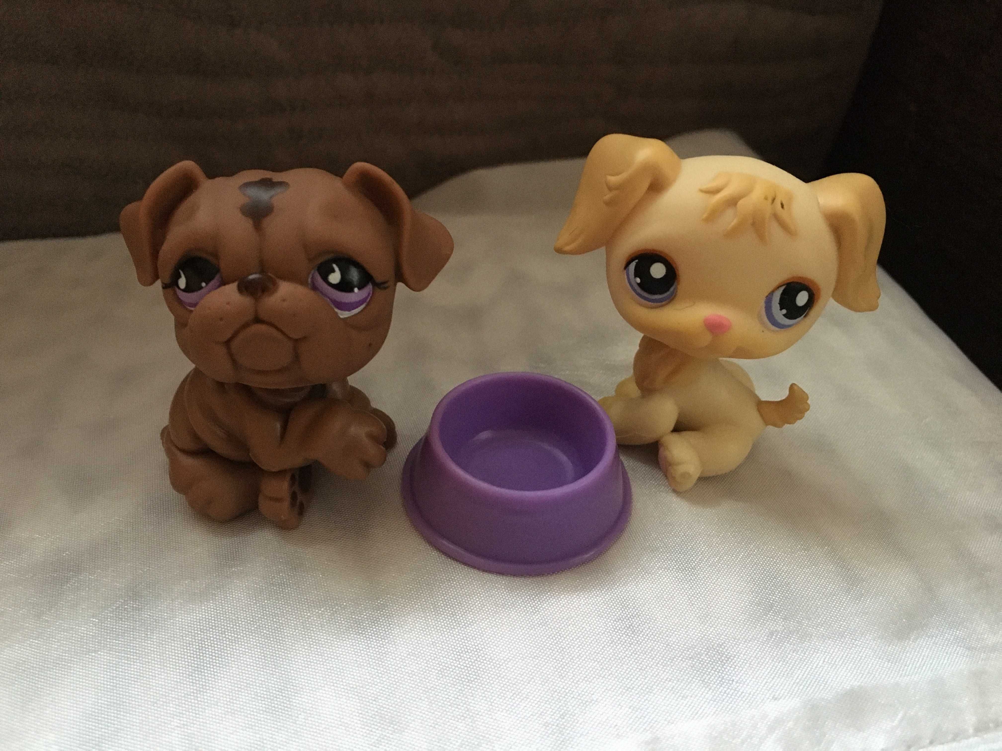 Littlest Pet Shop LPS pies buldog francuski 879 piesek labrador 268 Bydgoszcz OLX.pl