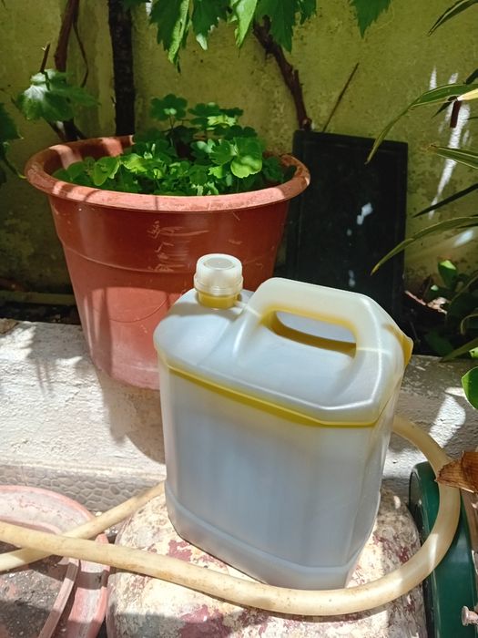 Azeite Caseiro puro de Oliveira(100%)garrafão 5 L